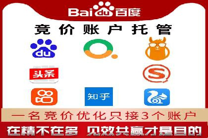 SEM公司案例研究：数据驱动营销策略