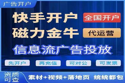 成功案例：网络推广与竞价广告的完美结合